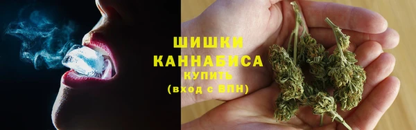 дмт Галич