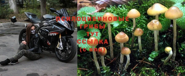 альфа пвп Майский