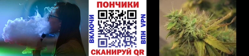 дарнет шоп  Кузнецк  Каннабис марихуана 